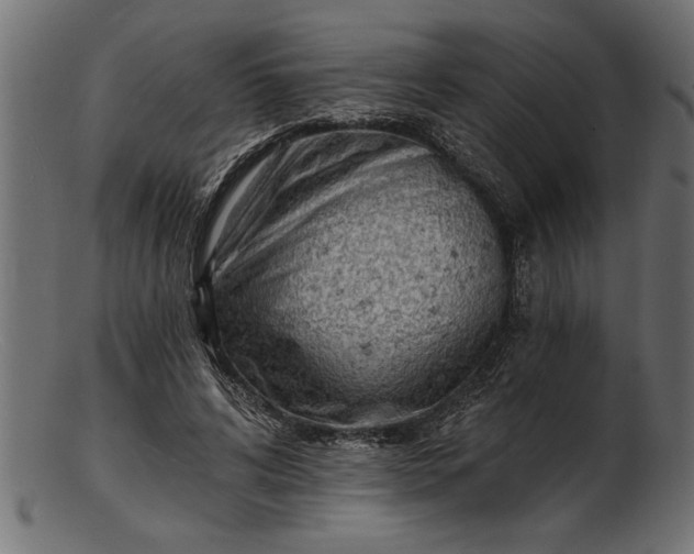 X0000103240592200809111558