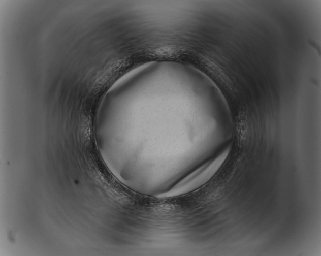 X0000103240593200809111558