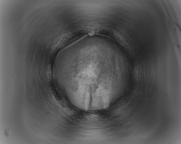 X0000103240594200809111558