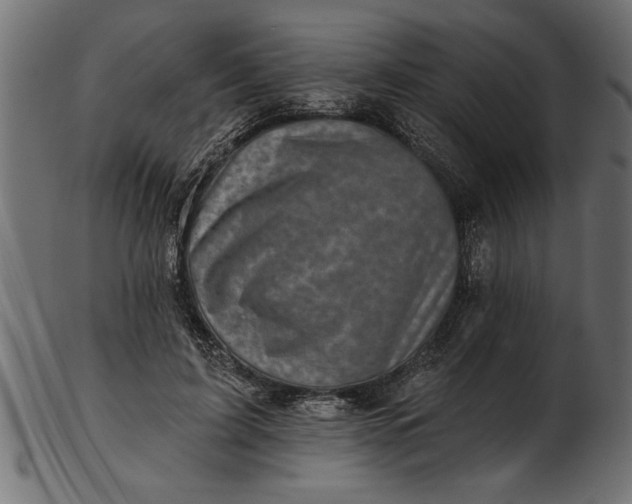 X0000103240595200809111558