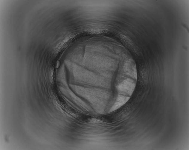 X0000103240596200809111558