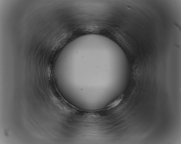 X0000103240597200809111558