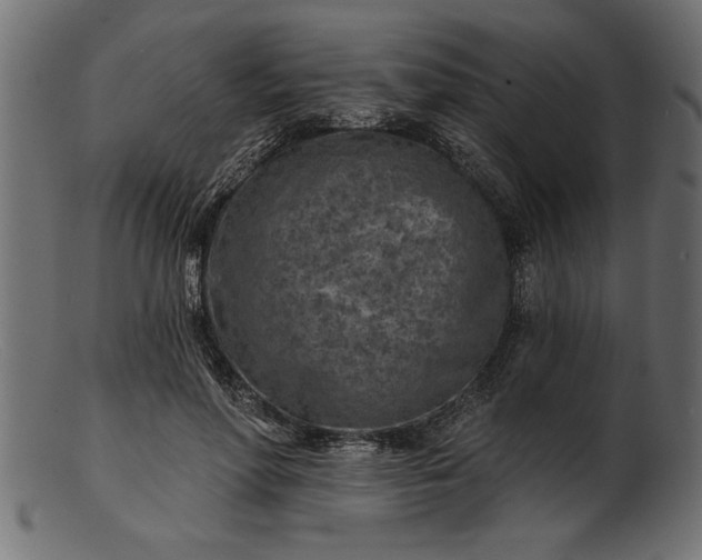 X0000103240598200809111558