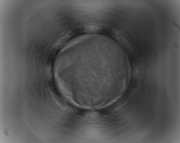 X0000103240599200809111558