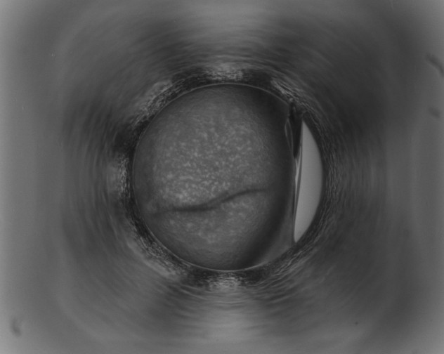 X0000103240600200809111558