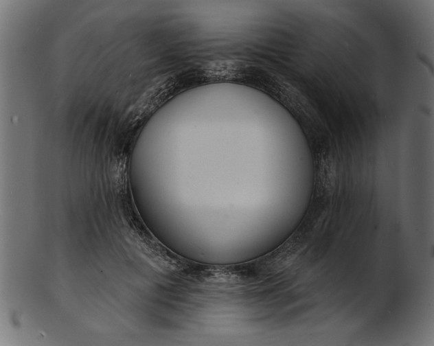 X0000103240601200809111558