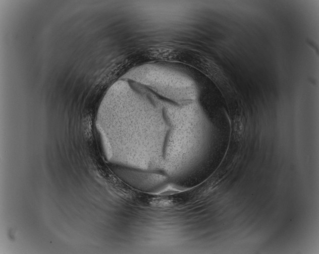 X0000103240602200809111558