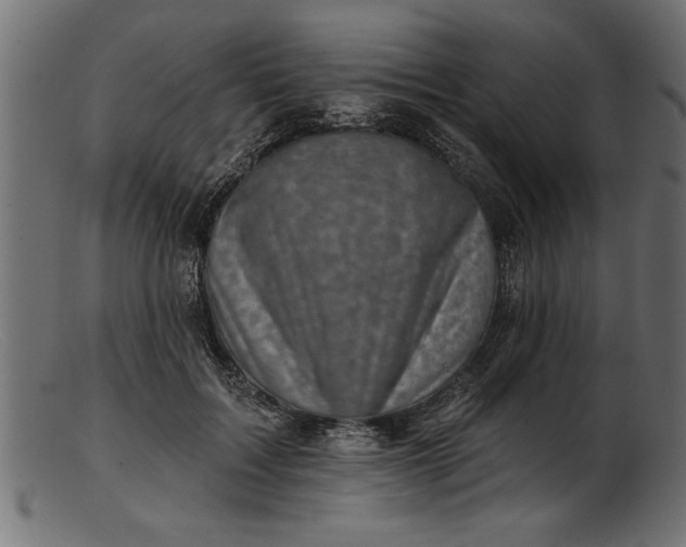 X0000103240603200809111558