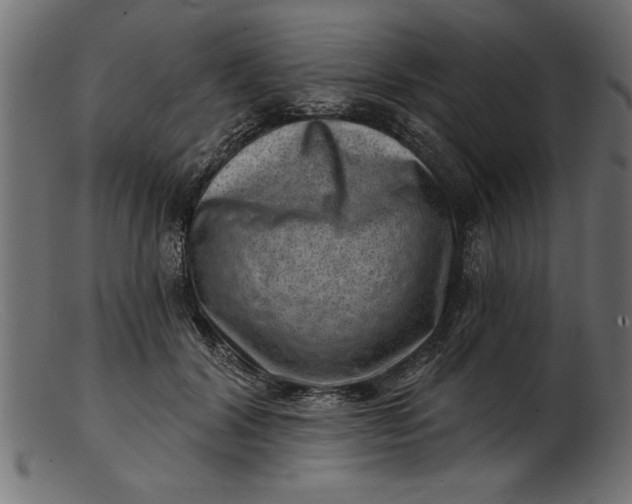 X0000103240604200809111558