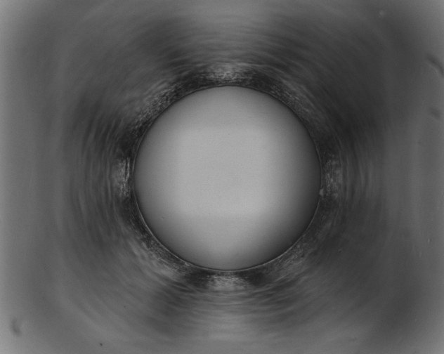 X0000103240605200809111558