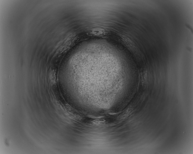 X0000103240606200809111558