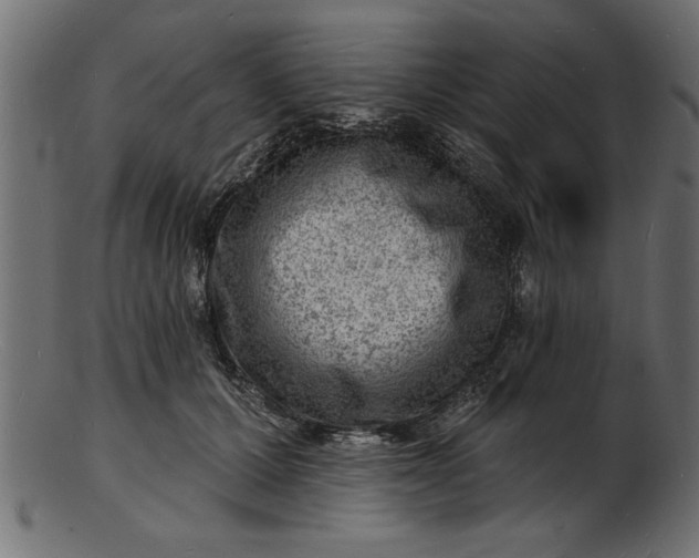 X0000103240607200809111558