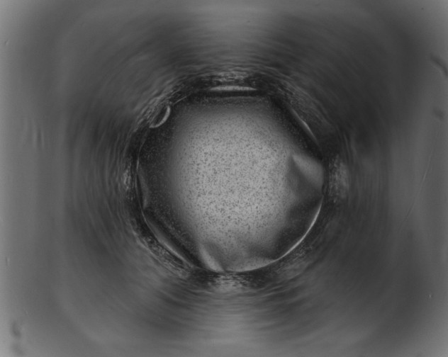 X0000103240608200809111558