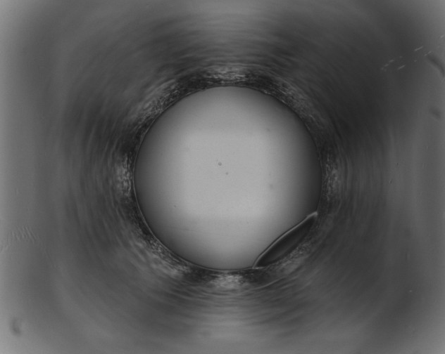 X0000103240609200809111558