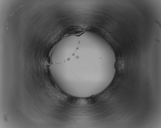 X0000103240613200809111558