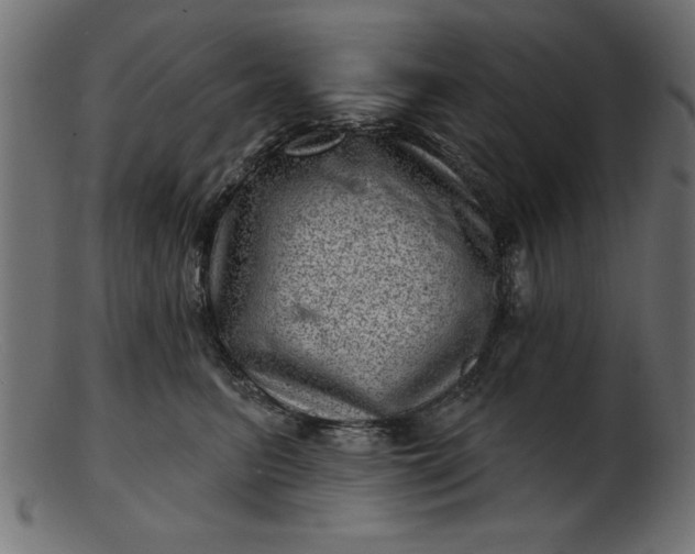 X0000103240615200809111558