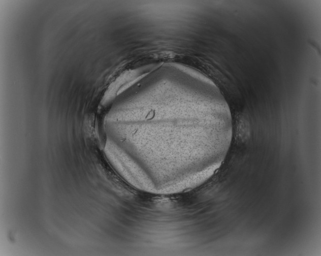 X0000103240616200809111558