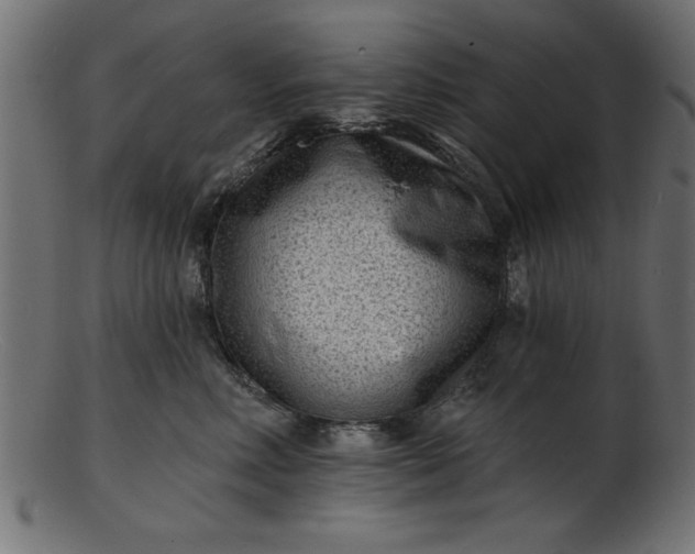 X0000103240618200809111558