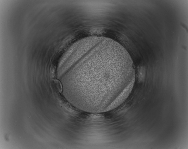 X0000103240619200809111558