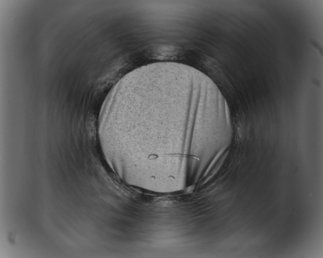 X0000103240620200809111558