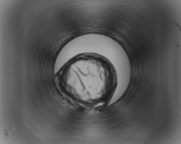 X0000103240621200809111558