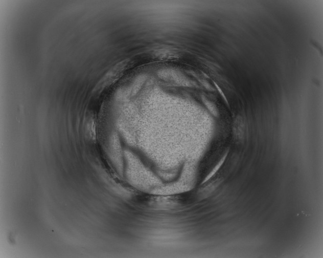 X0000103240622200809111558