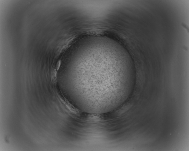 X0000103240624200809111558