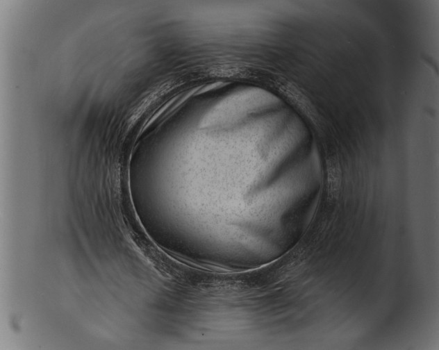 X0000103240626200809111557