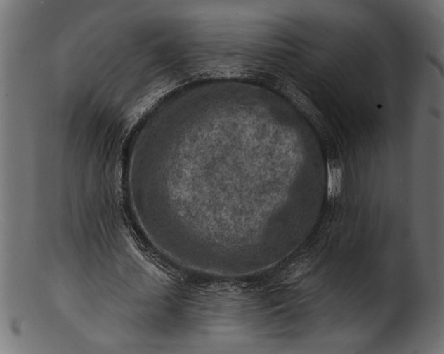 X0000103240627200809111557