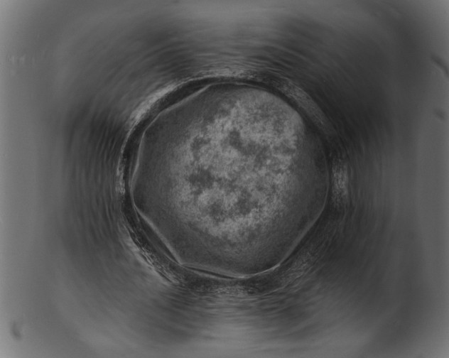 X0000103240628200809111557