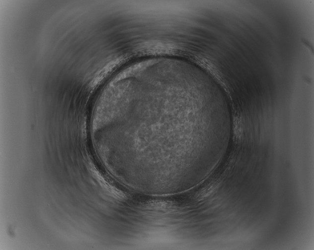 X0000103240629200809111557