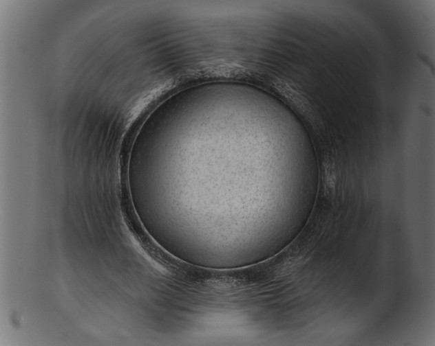 X0000103240630200809111557