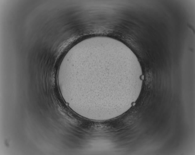 X0000103240632200809111557