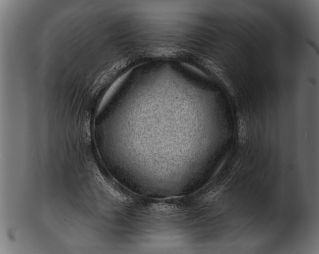 X0000103240633200809111557