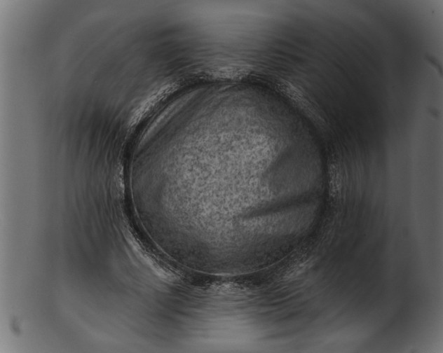 X0000103240634200809111557