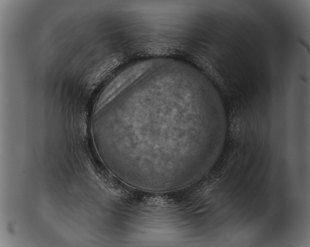 X0000103240635200809111557