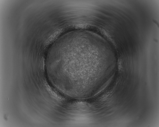 X0000103240637200809111557