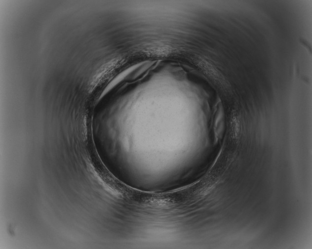 X0000103240638200809111557