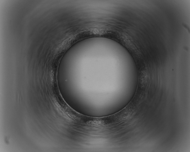 X0000103240639200809111557