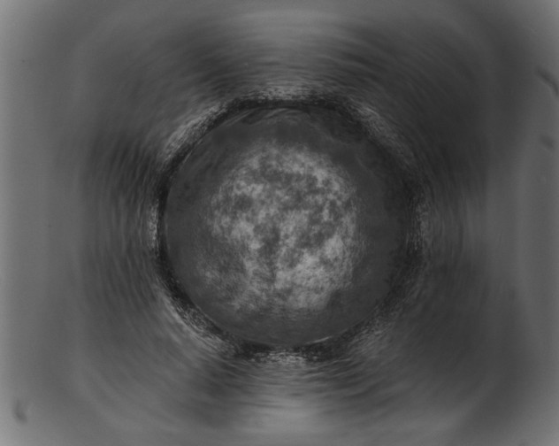 X0000103240640200809111557