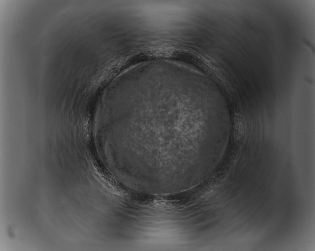 X0000103240641200809111557