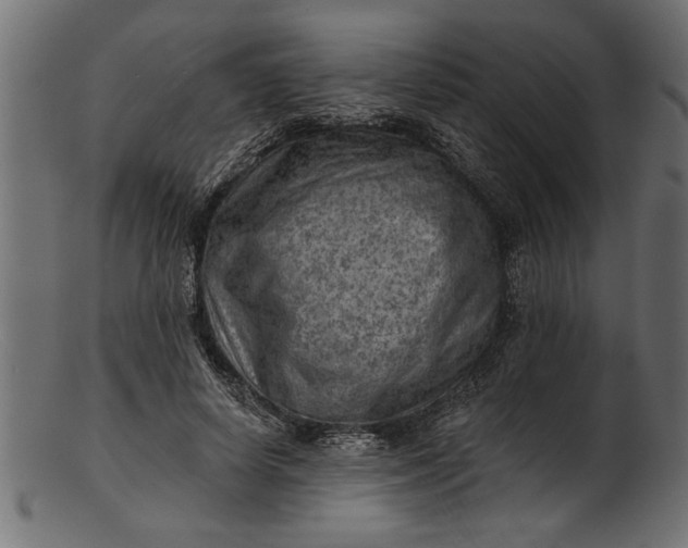 X0000103240642200809111557