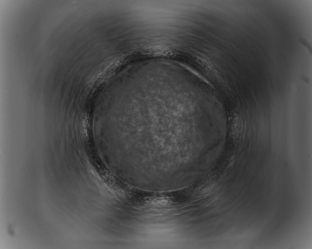 X0000103240643200809111557