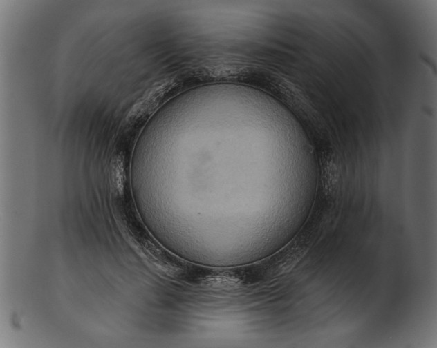 X0000103240644200809111557