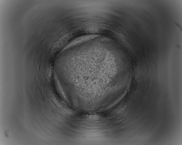 X0000103240645200809111557