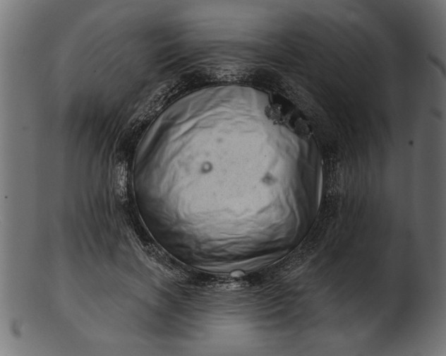 X0000103240646200809111557