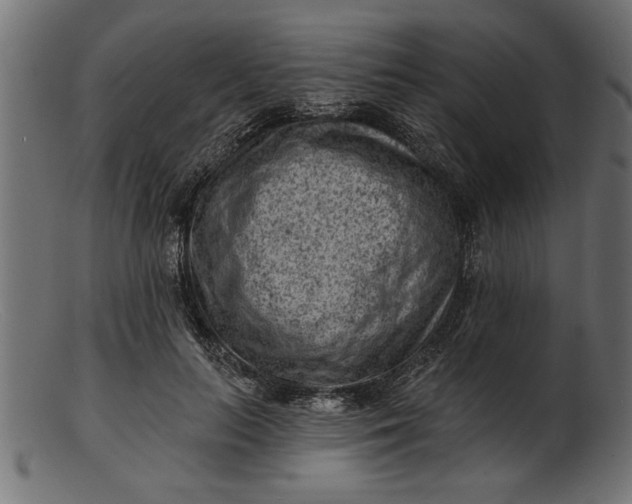 X0000103240647200809111557