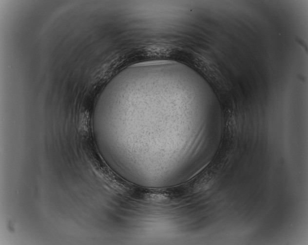 X0000103240649200809111557