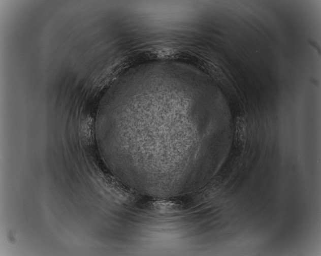 X0000103240650200809111557