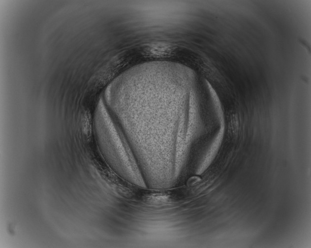 X0000103240651200809111557